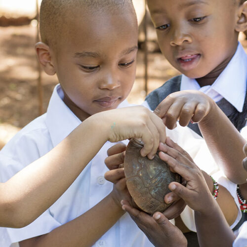 Aga Khan Academy- Nairobi